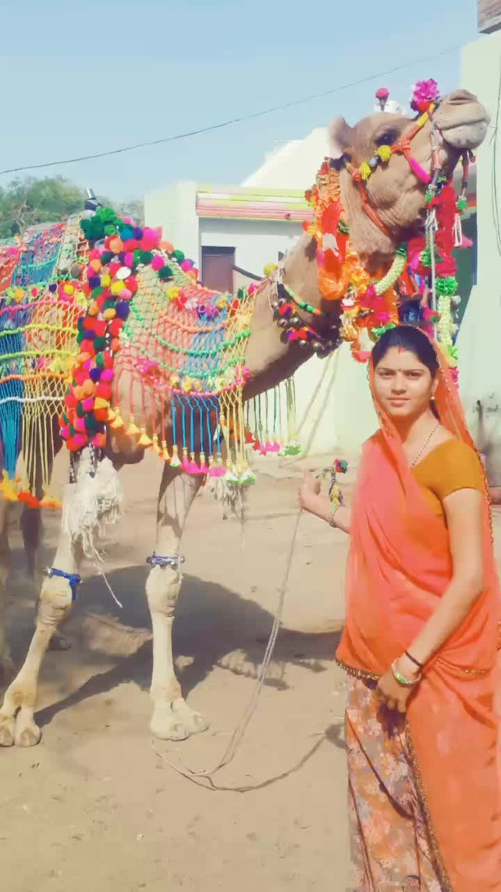 @ranaram rabari