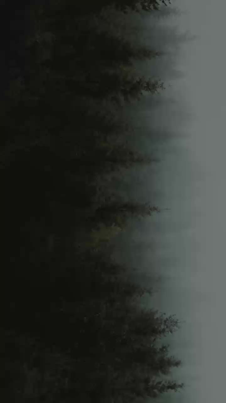 @naushad hussain