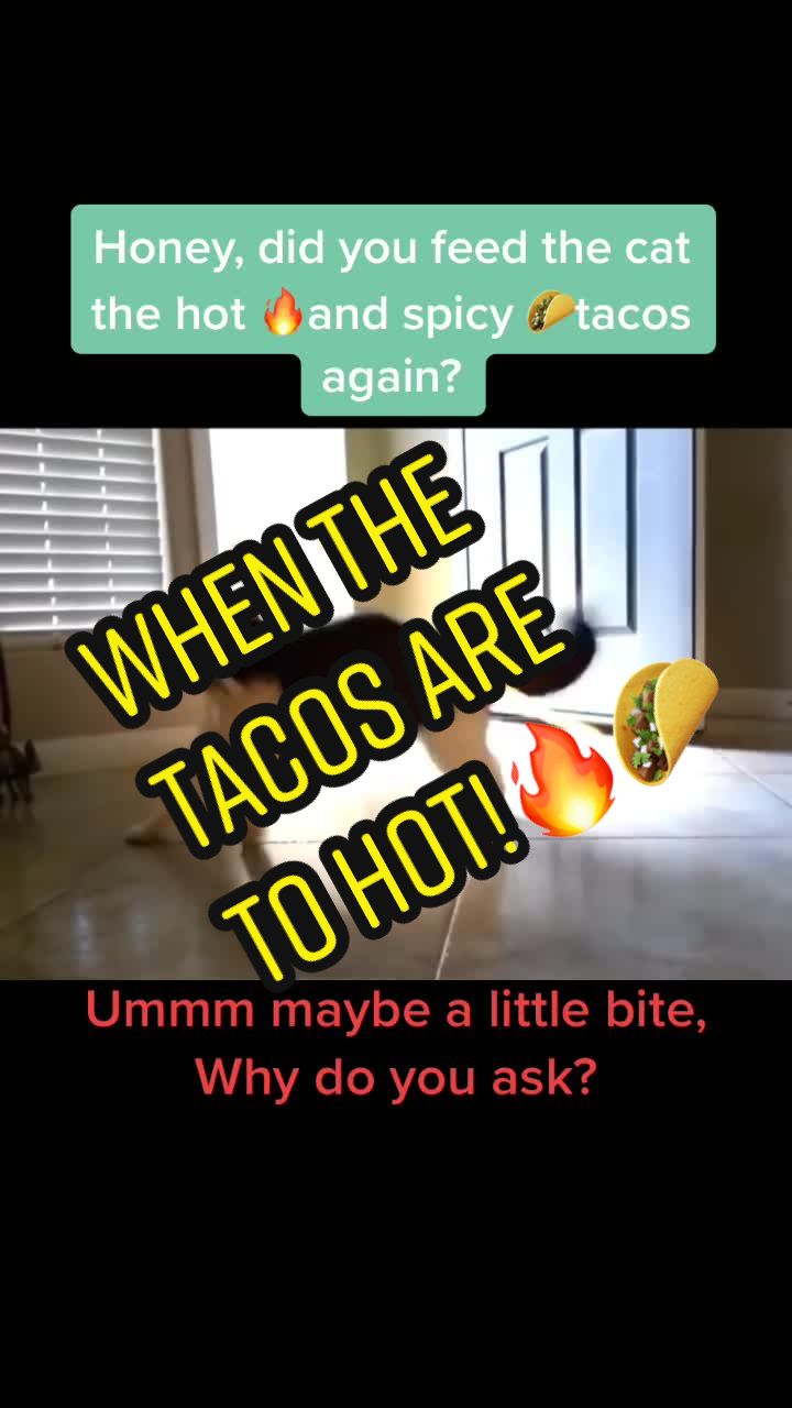 @mrspeed2.0