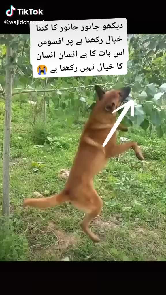 @𝙈𝙚𝙝𝙖𝙧𝙕𝙖𝙙𝙖❤
