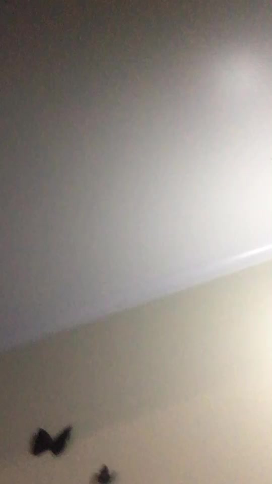 @Kristylovesbambam Co