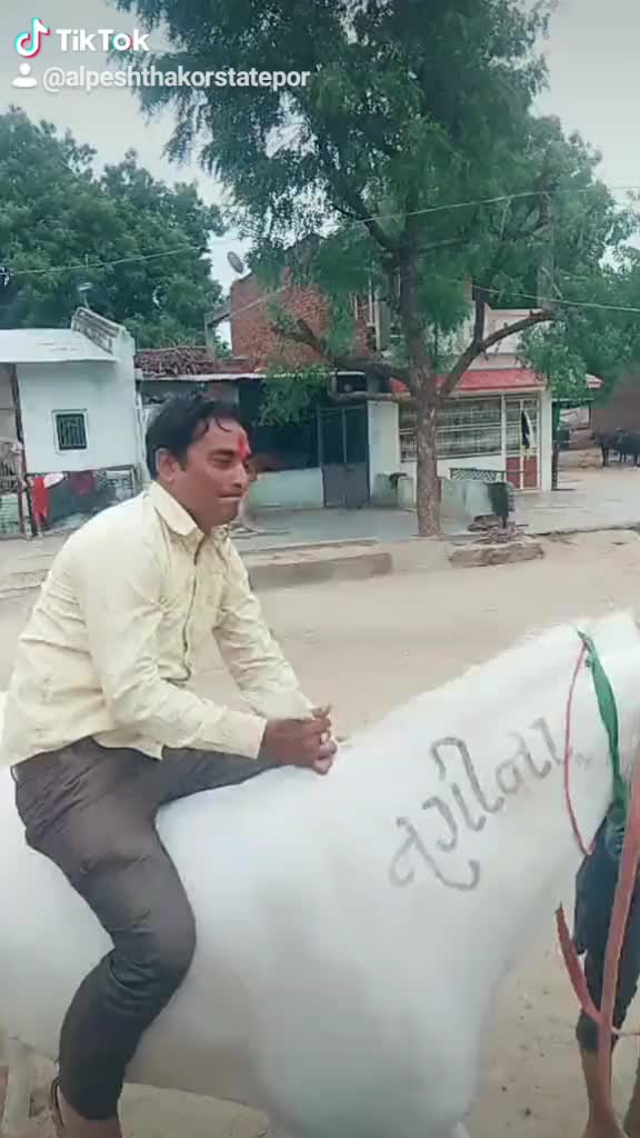 @Alpesh Thakor State 