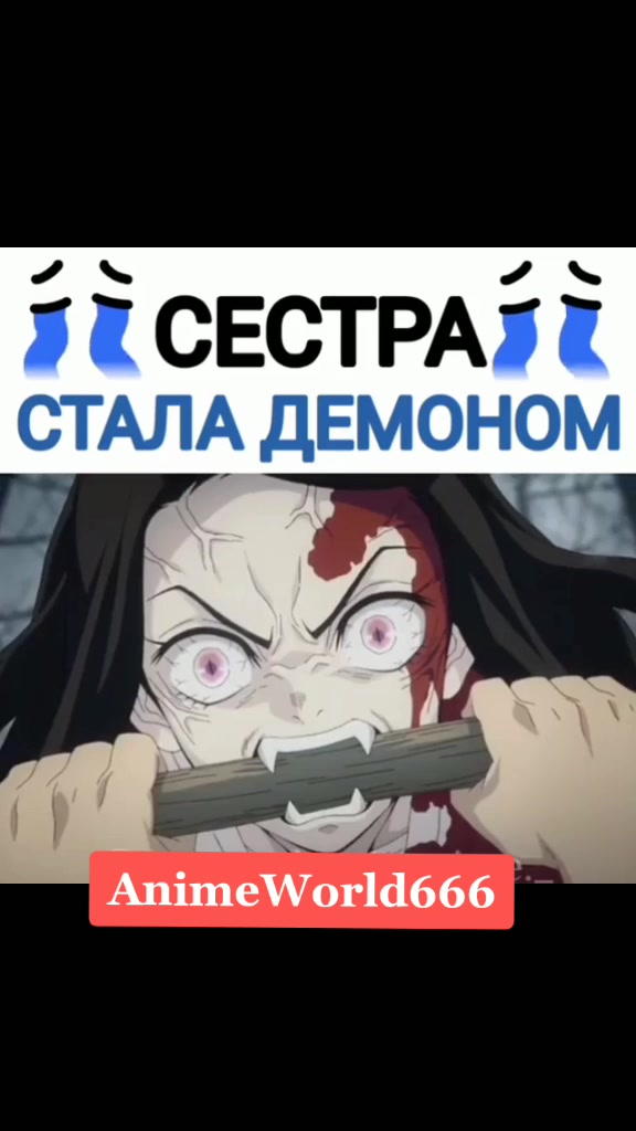 @Мой Мир