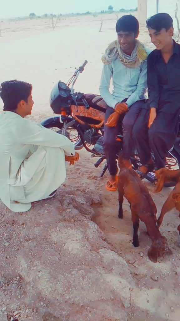 @Prince Reshu Mehar