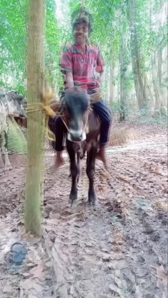 @ഗന്ധർവ്വൻ  2.0