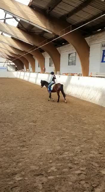 @Pony.gruppe❤️✨