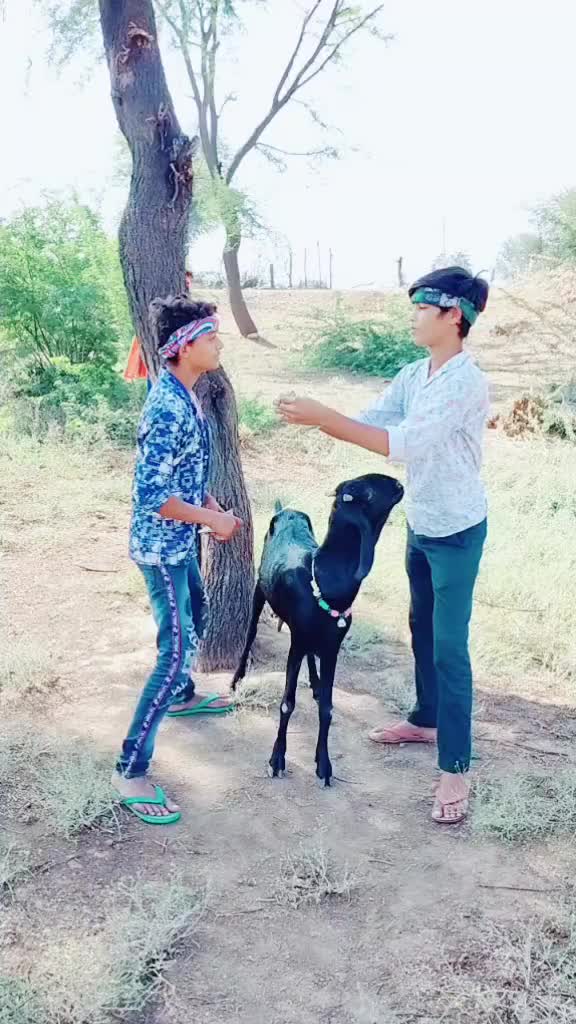@laxman prajapati