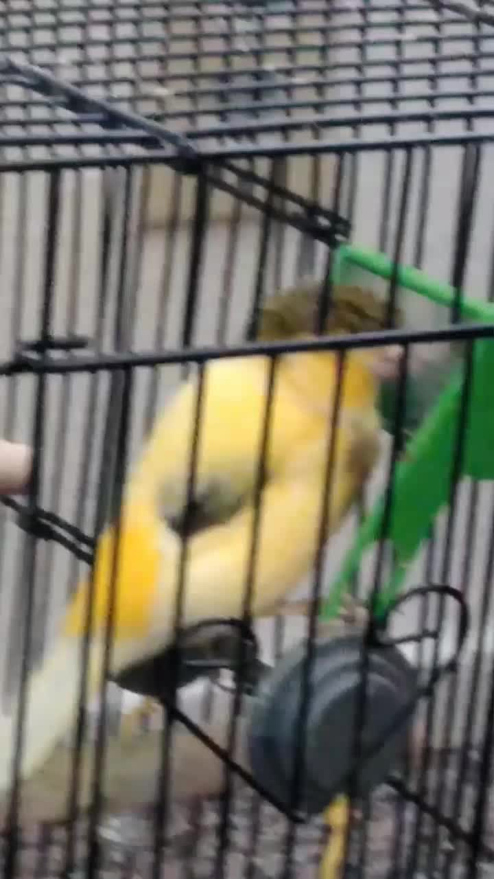 @Lili