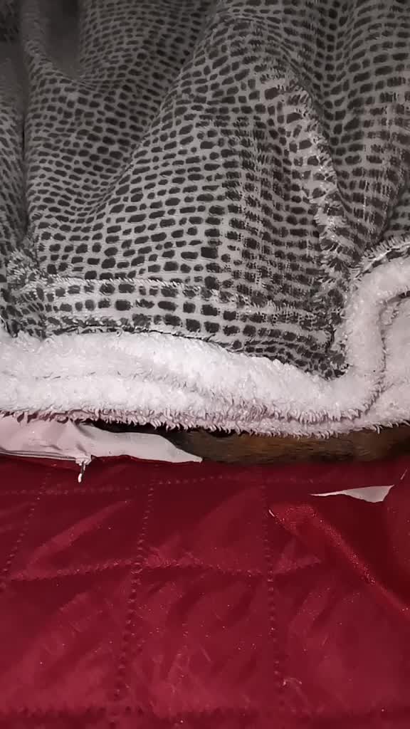 @federicacasu1988