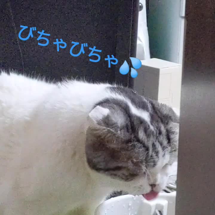 @レオฅ(^^ฅ)