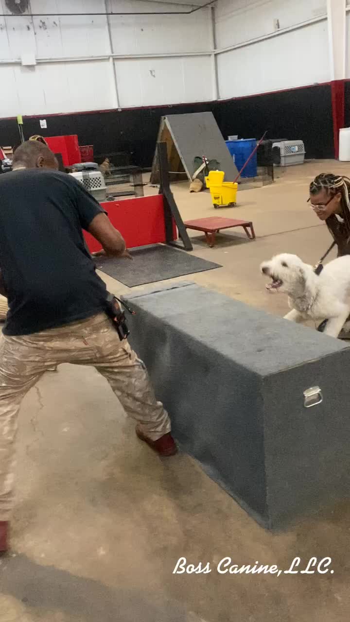 @Boss Canine