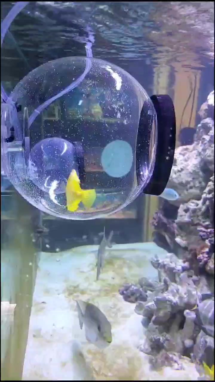 @Tankmatez.com USA