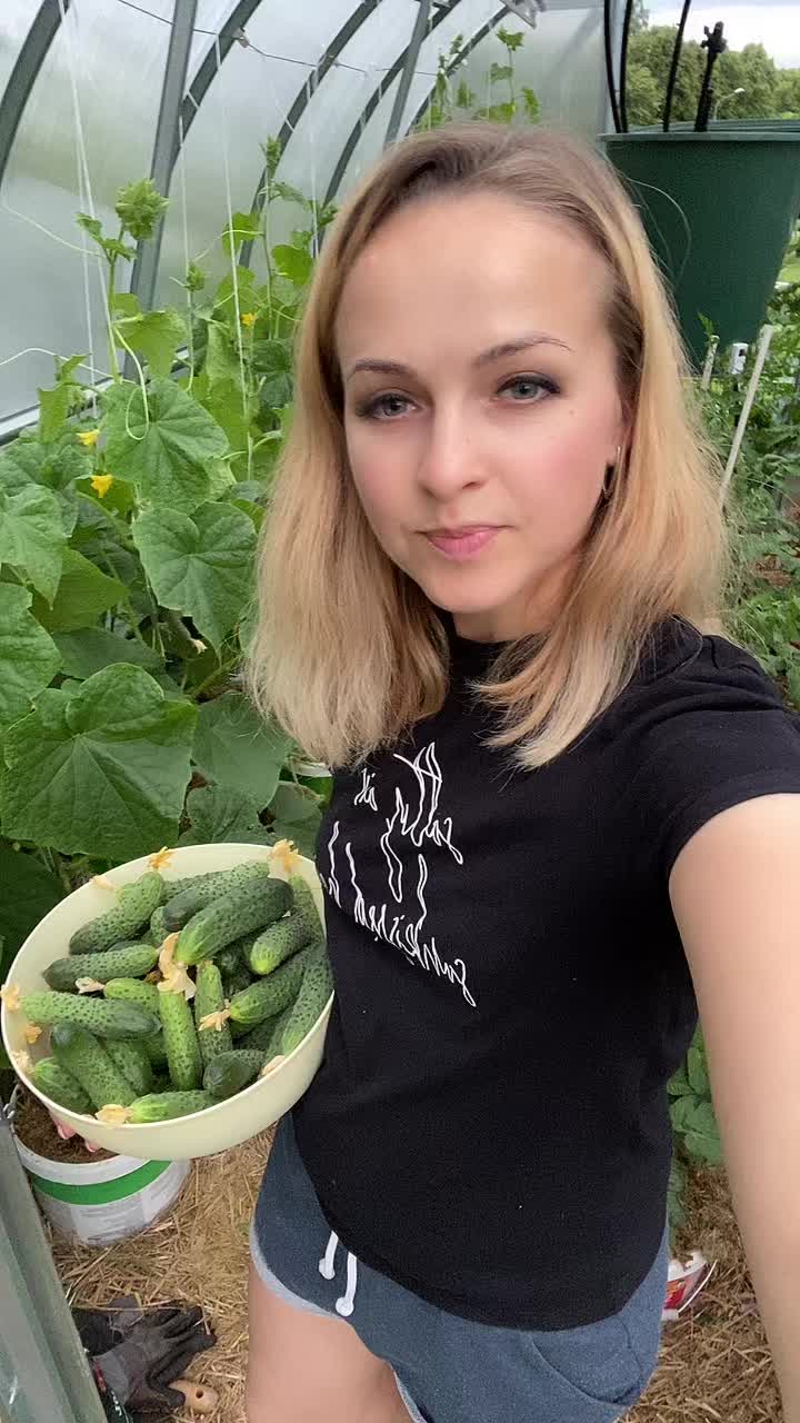 @VERA 🇱🇹🇳🇴🇬🇧🇺🇦🇷🇺