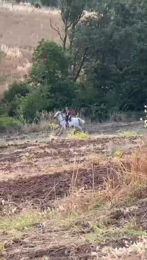 @Michela Pampanini
