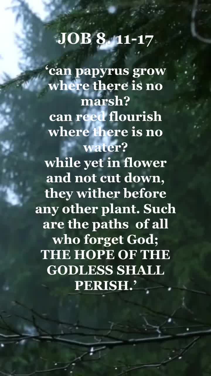 @✝️