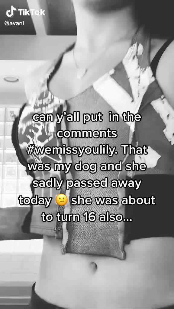 @avanisvinnie