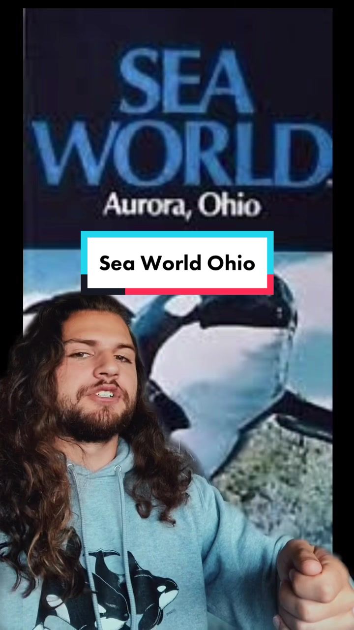 @The Orca Man