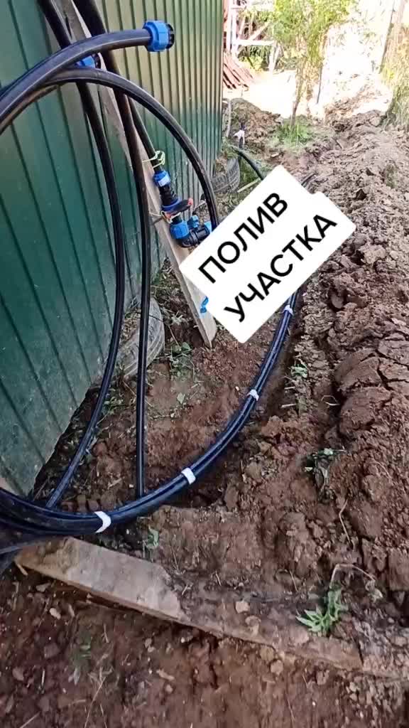 @МЫ ПЕТРОВЫ