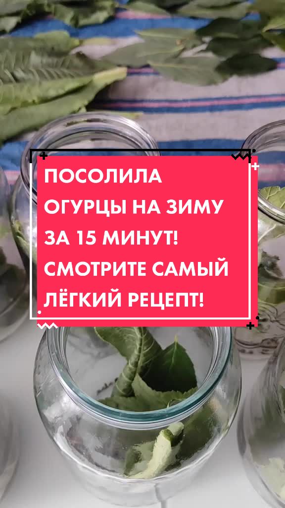 @Olga Svetlaya