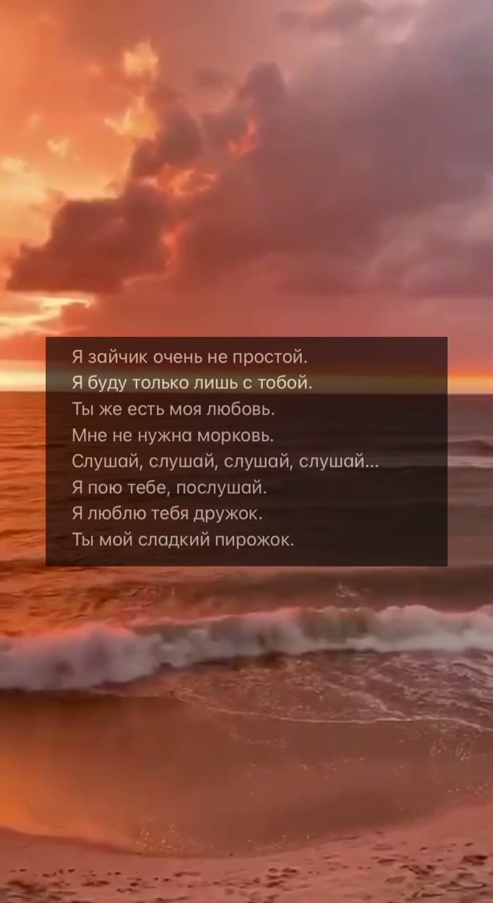 @𝒫𝑒𝓉𝑜🤍