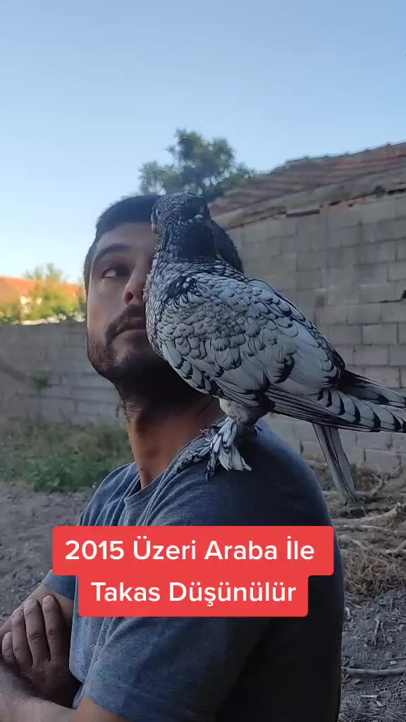 @Mustafa✔️Mal&ccedil;ok✔️