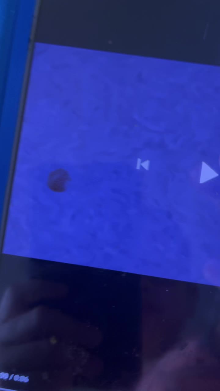@user698490317824