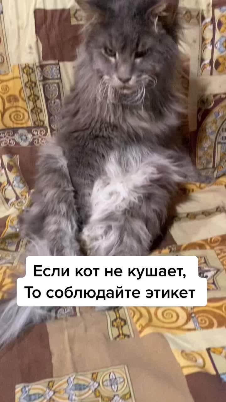 @Анна Алмазова