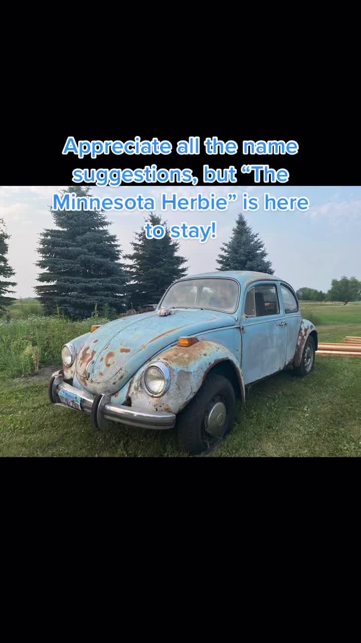 @Shelbie the Love Bug