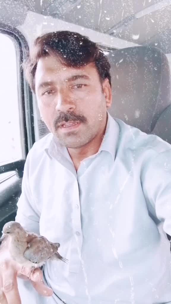 @Malik Faisal804🇵🇰