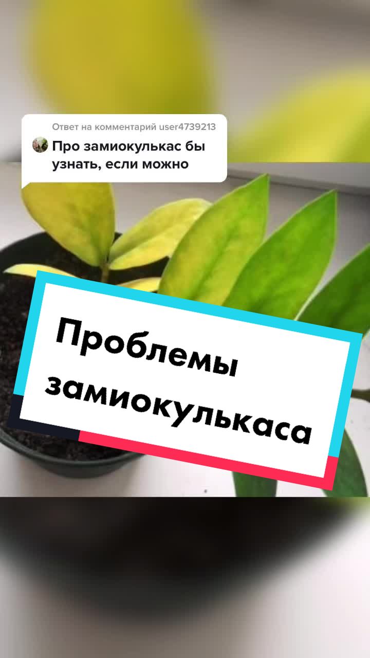 @Nina Letovsemusvetu