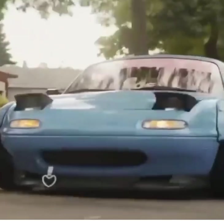 @Dailywhips