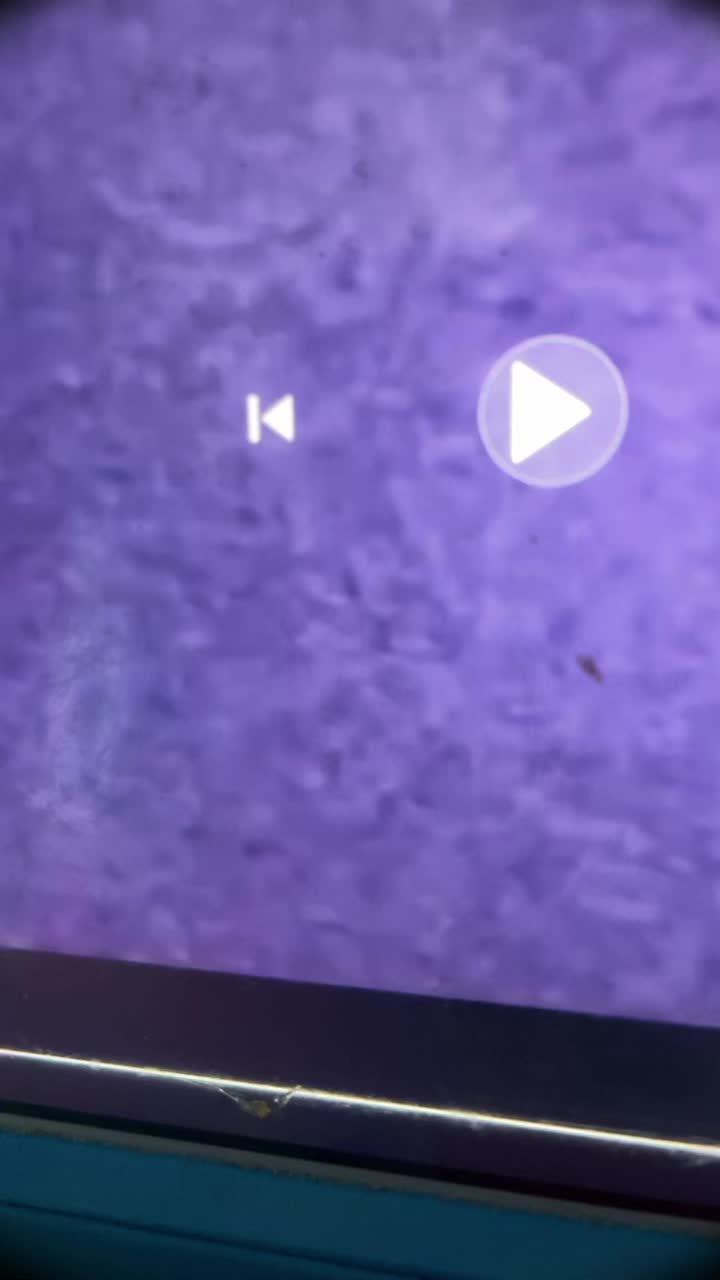@user698490317824