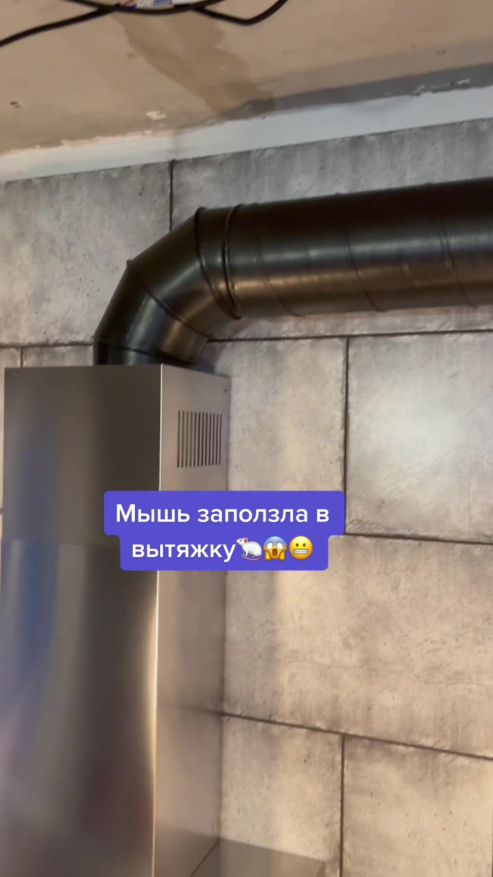 @Жека Салмин