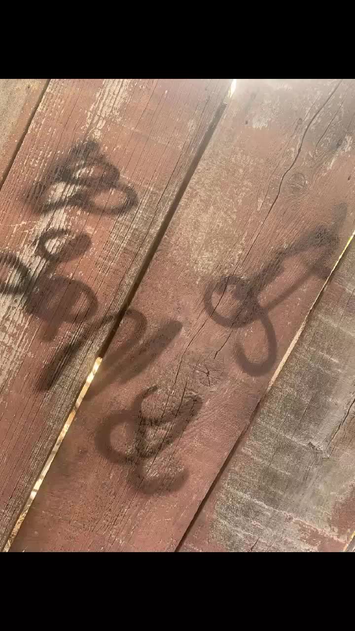 @PP gang