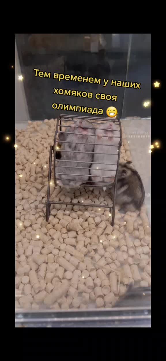 @Тася