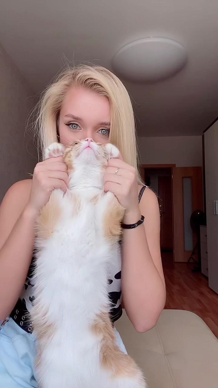 @Cat_Stepan