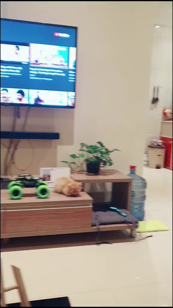 @Ď&Igrave;V&Yacute;&Acirc;