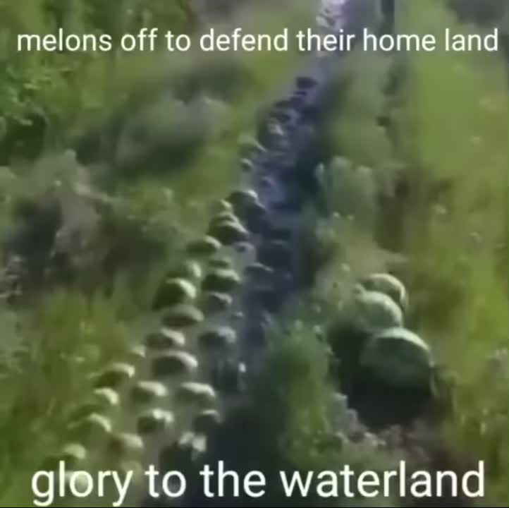 @Team_of_Friends