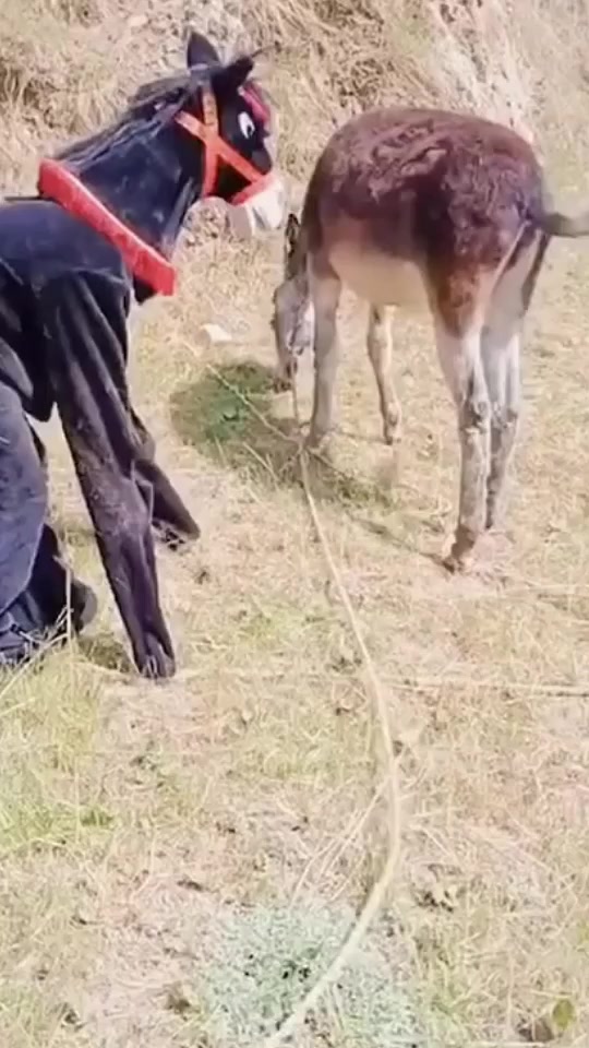 @😍أناقة رجل 😍