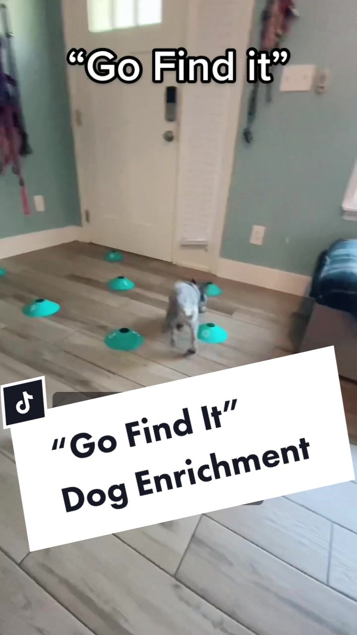 @thewoofpacknc