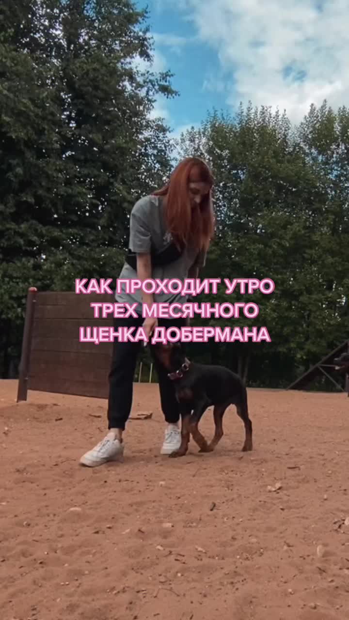 @Дари Доберс