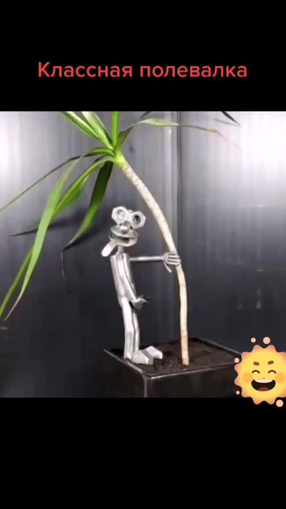 @IGOR 6899993