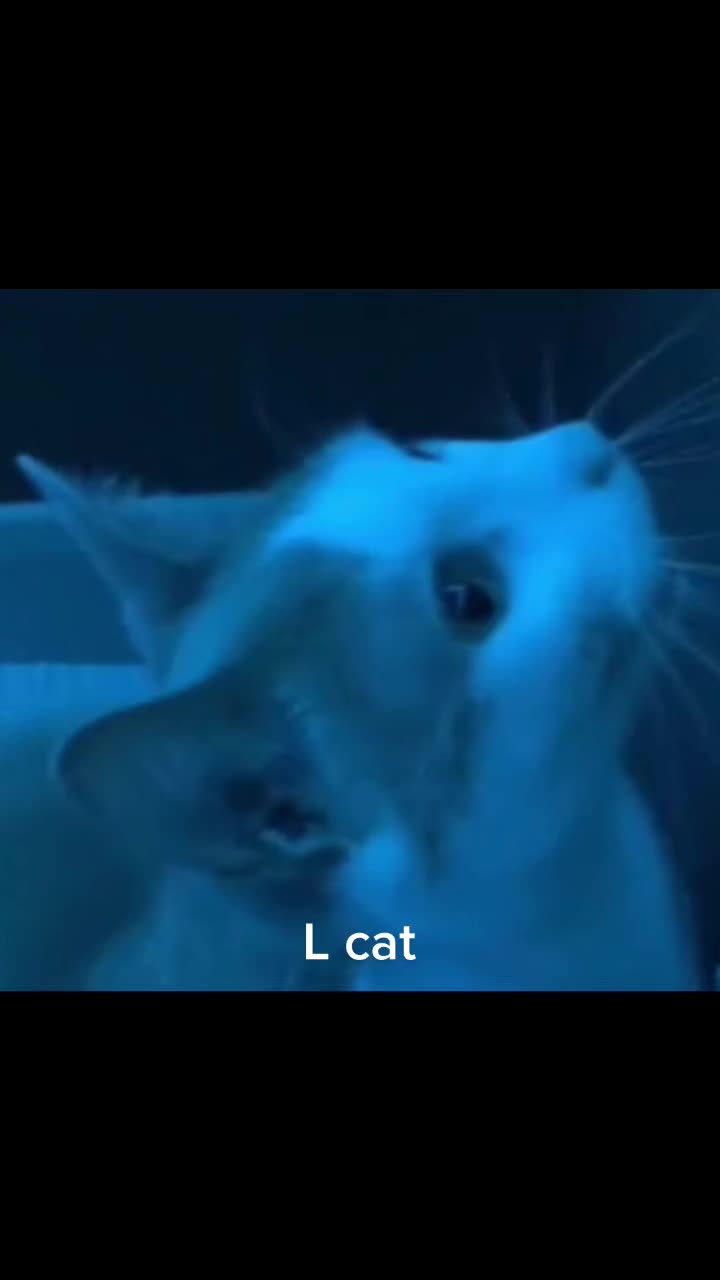 @crickethateaccount