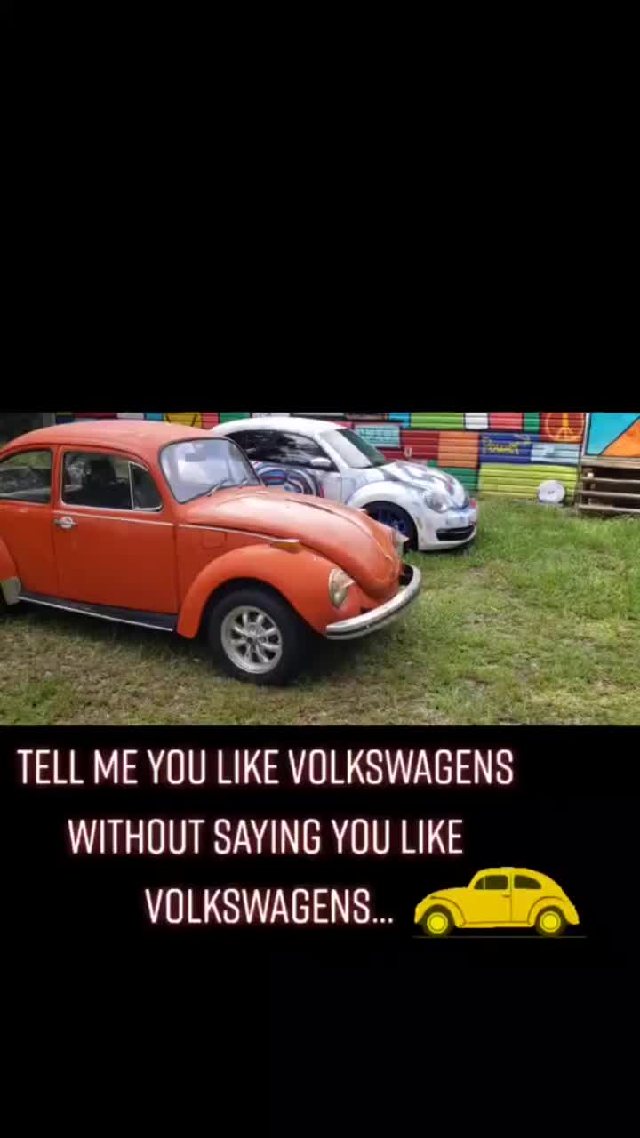 @Shelbie the Love Bug