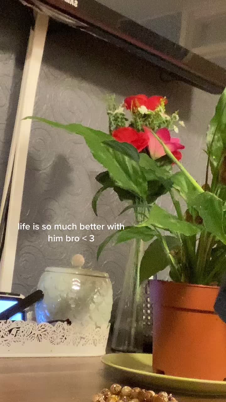 @hi