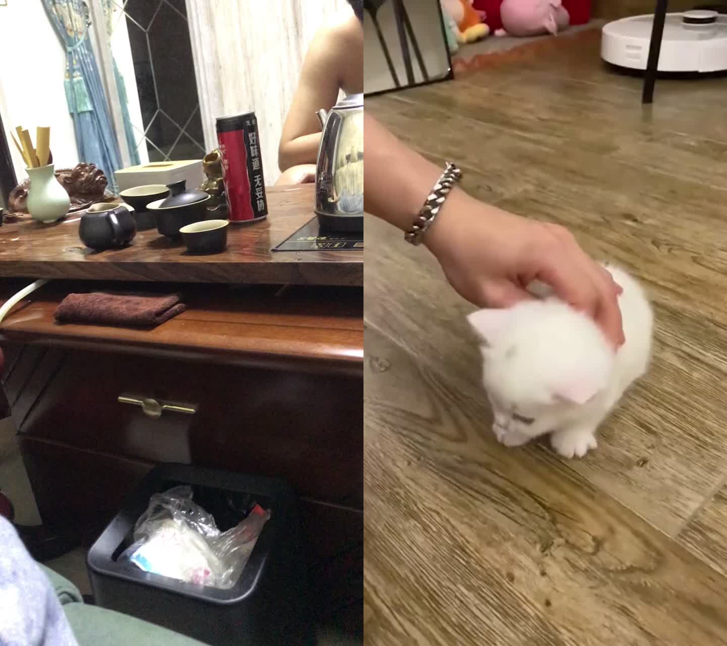 @guojh11