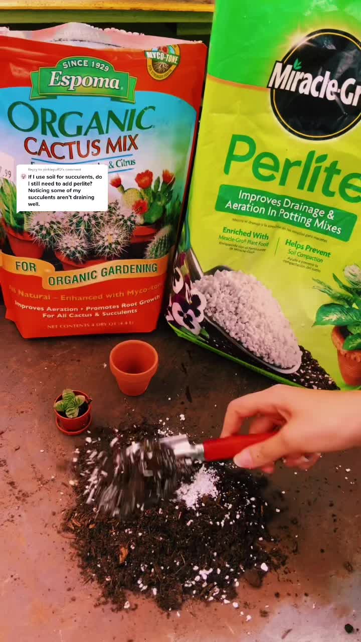 @Plants of Worth