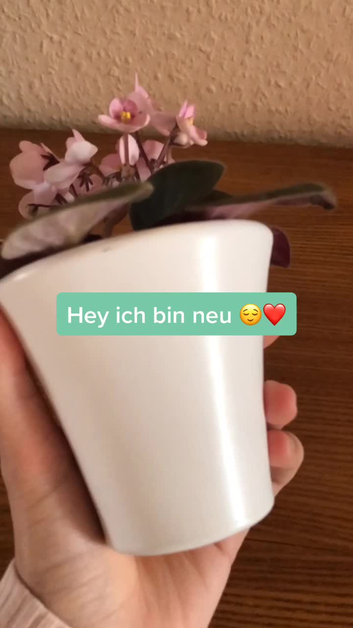@plastikfrei