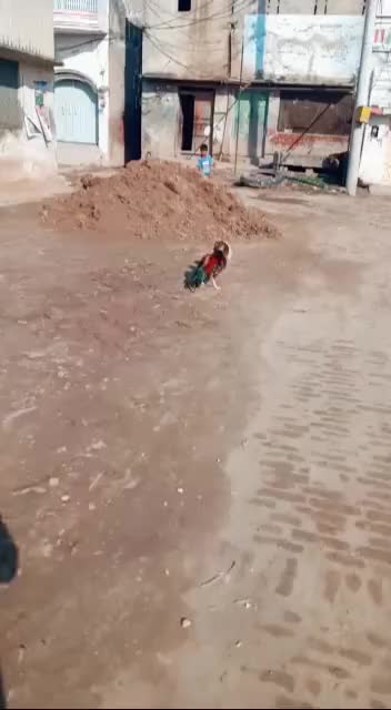 @CH Sarfraz Guجar