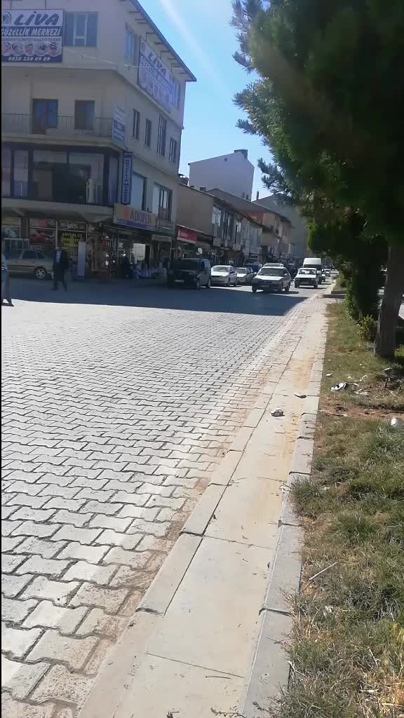 @Şahin Ilkbahar